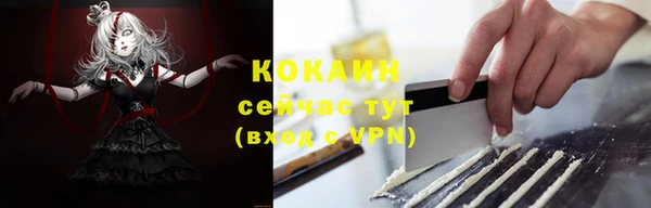 трава Аркадак