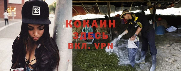 трава Аркадак