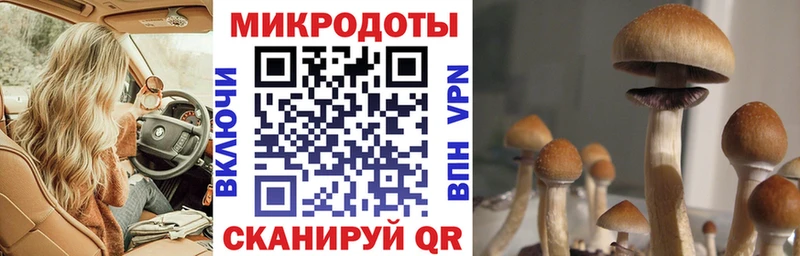 OMG онион  Сорск  Псилоцибиновые грибы прущие грибы  сколько стоит 